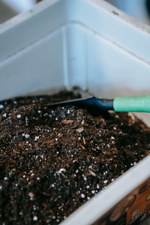 Beginner Tips for Composting at Home: Easy Steps to Start